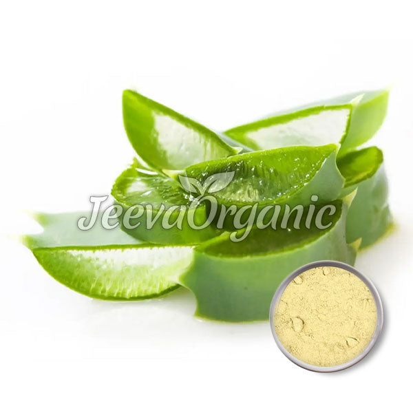 Fresh green aloe vera slices with a background logo of Jeeva Organic and a bowl of yellow aloe powder on the right.