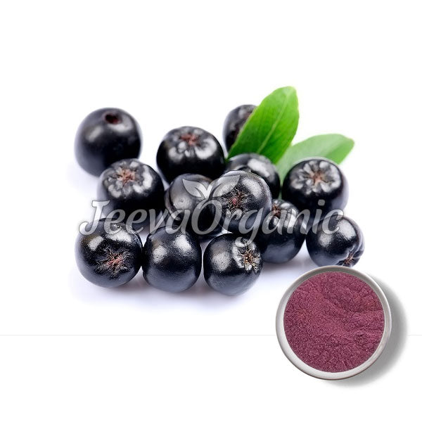 Fresh black chokeberries with green leaves, accompanied by a small bowl of deep purple powder, representing berry extract.