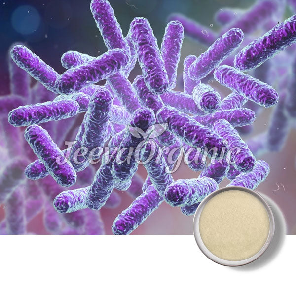 Bacillus subtilis Pulver 200 B KBE/g