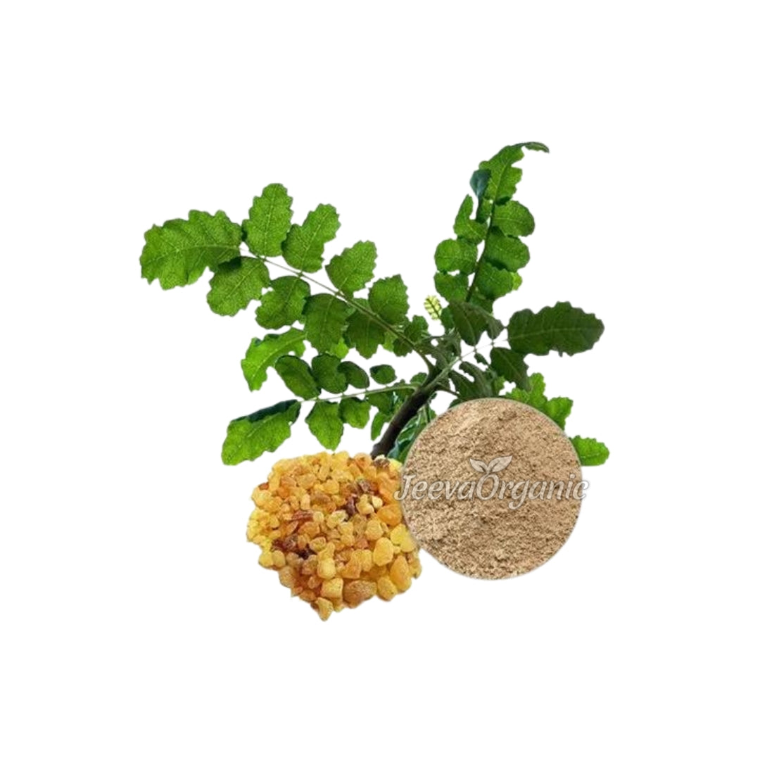 Fresh curry leaves next to yellow resin crystals and a powder, labeled "Jeeva Organic."