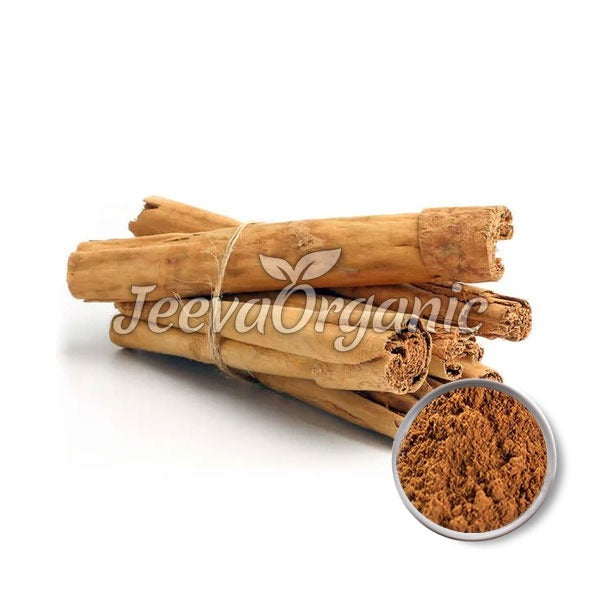 A bundle of cinnamon sticks tied together with a string, alongside a small bowl of ground cinnamon powder.