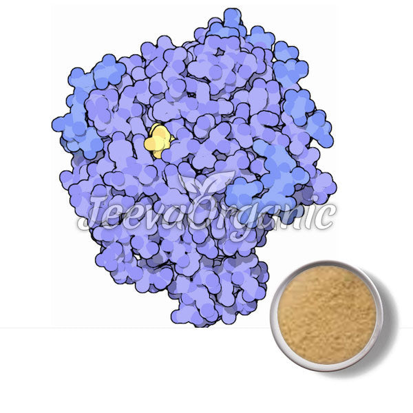 Illustration of a molecular structure in blue and yellow, alongside a small bowl of light brown powder.