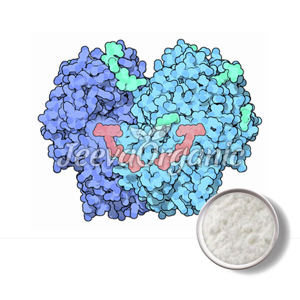 Illustration of blue and teal protein structures with a small bowl of white powder beside them, suggesting a scientific or biochemical context.