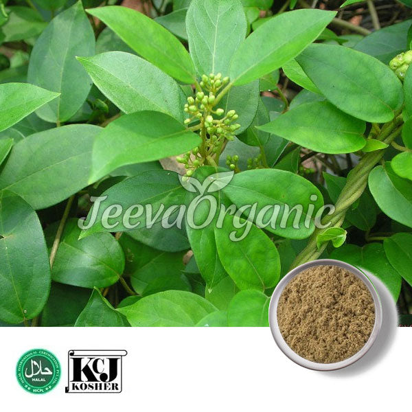 Fresh green leaves and budding flowers of a plant, accompanied by a small bowl of powdered spice, labeled with organic certification logos.