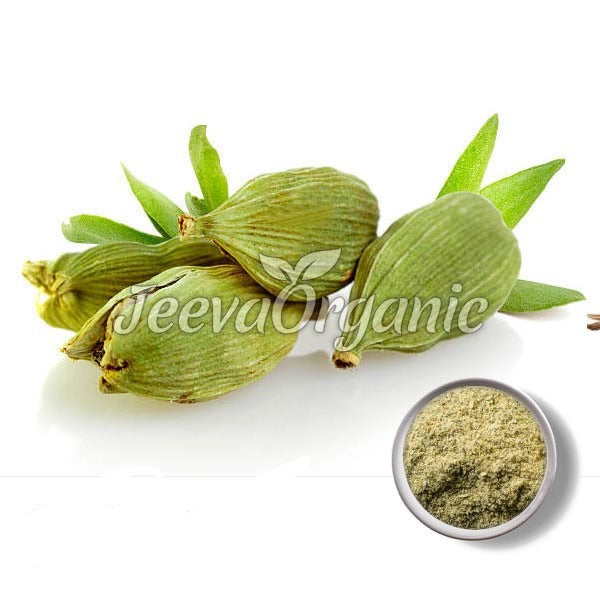 Three green cardamom pods with leaves beside a small bowl of ground cardamom on a white background. "Jeeva Organic" logo visible.