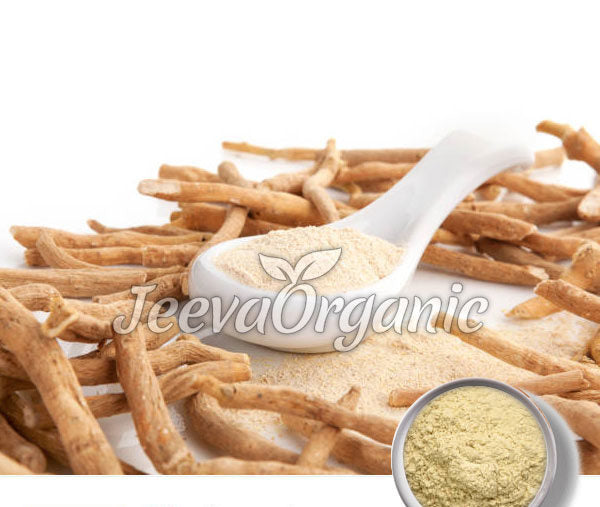 A white spoon holds powdered ashwagandha beside dried ashwagandha roots, showcasing its natural herbal benefits.