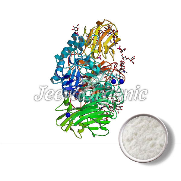 3D protein structure model with colorful helices and strands, accompanied by a small dish of white powder.