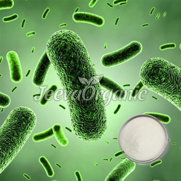 Microscopic green bacteria on a vivid background, alongside a small dish of white powder, labeled "Jeeva Organic."
