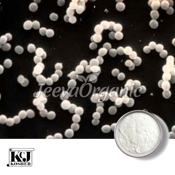 Lactococcus lactis Powder 300B cfu/g