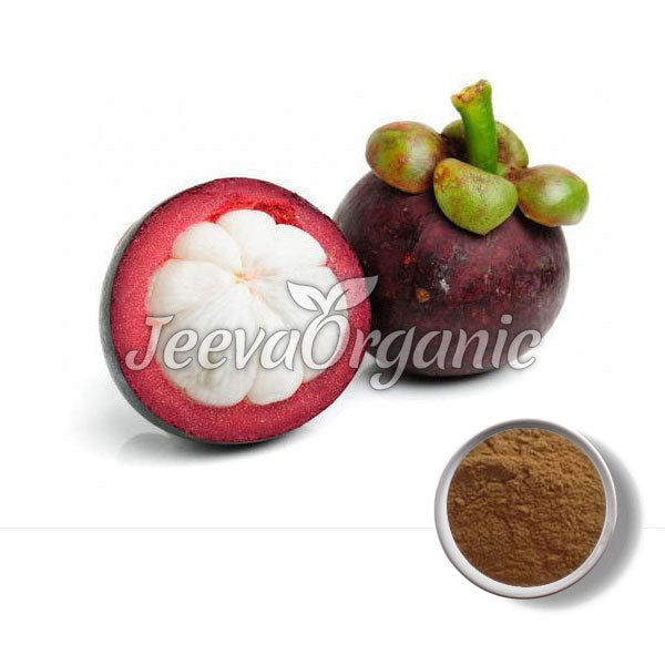 Mangosteen Powder
