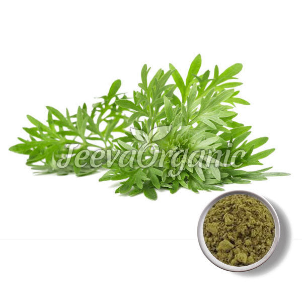 Mugwort Powder
