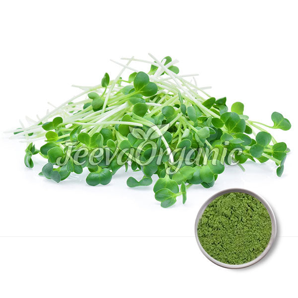 Organic Alfalfa Powder