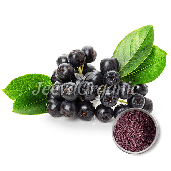 A cluster of ripe black chokeberries with green leaves beside a small bowl of purple chokeberry powder.