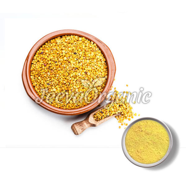 Bienenpollenpulver