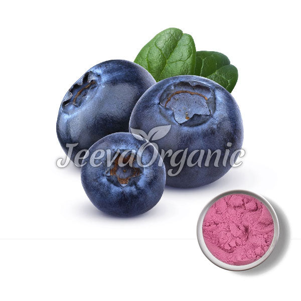 Three fresh blueberries with green leaves beside a silver bowl of pink berry powder, branded with "JeevaOrganic."