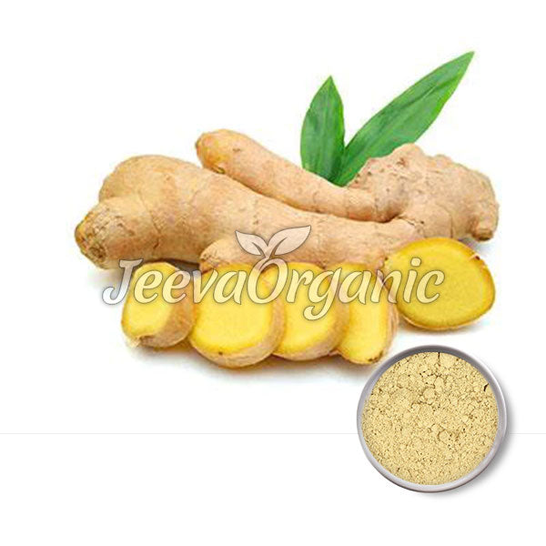 Ginger Root Extract Powder 8:1