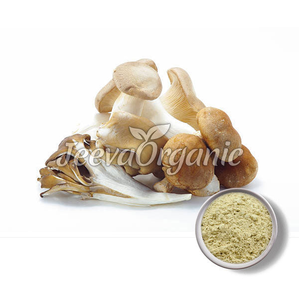 A variety of fresh mushrooms arranged artfully beside a bowl of mushroom powder on a white background.