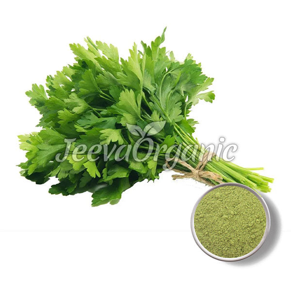 Petersilienpulver
