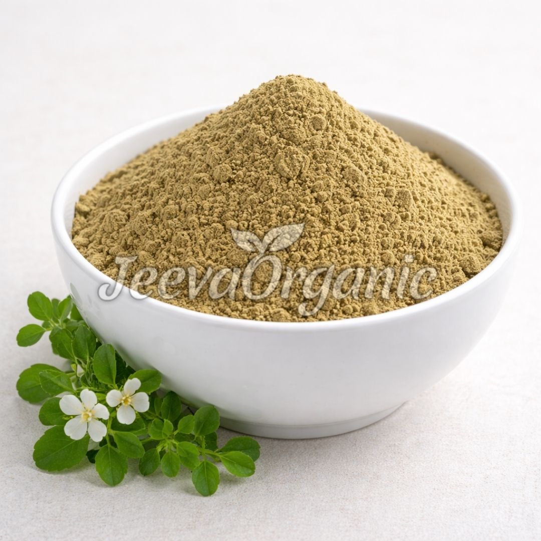 Bulk Organic Brahmi Powder Supplier