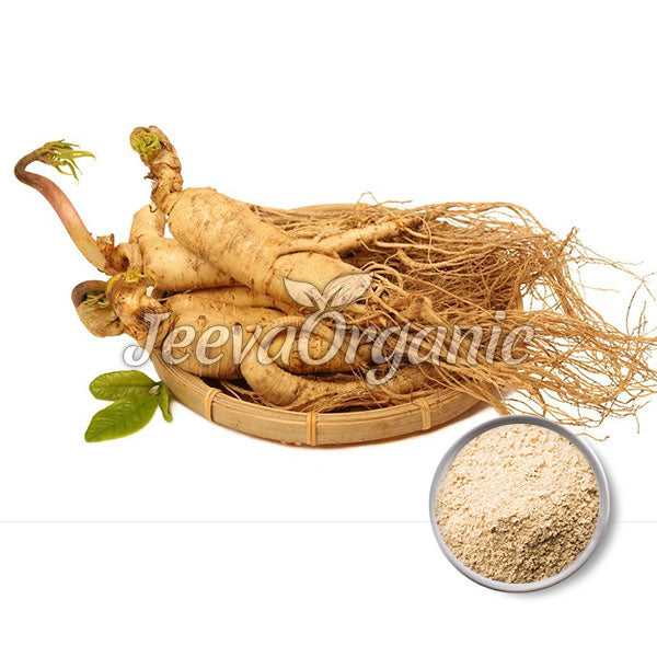Fresh root vegetables with long roots on a bamboo platter, alongside a small bowl of fine powder, labeled Jeeva Organic.
