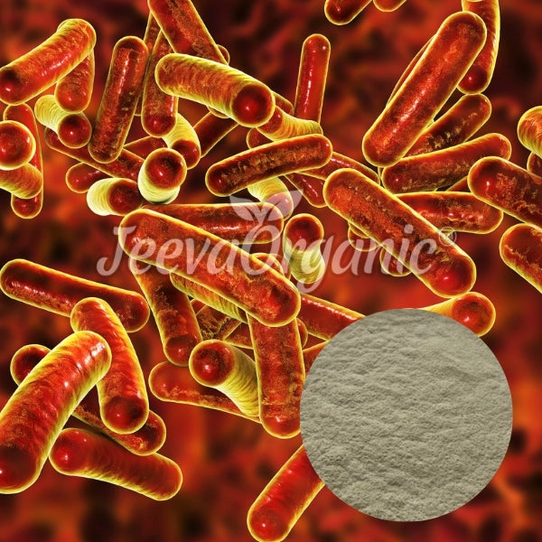 Colorful, magnified view of bacteria against a fiery background, with a textured circular sample of a powder in the foreground.