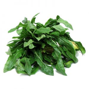 A fresh pile of green, leafy dandelion greens, showcasing their elongated, serrated leaves against a white background.