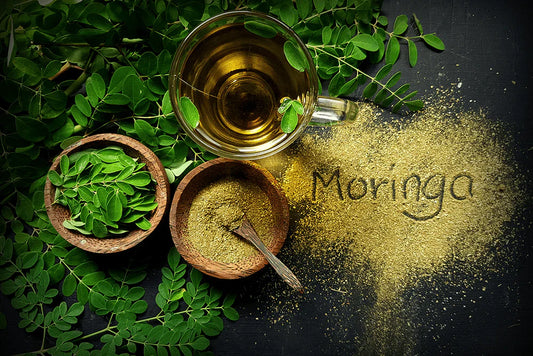 Explore moringa oleifera benefits for hair | Moringa oil for Hair Growth&nbsp;