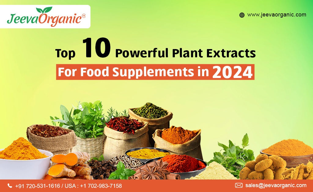 Top 10 Plant Extracts for Food Supplements in 2024