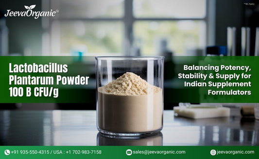A transparent container holds Lactobacillus Plantarum powder, with text promoting its benefits for Indian supplement formulators.