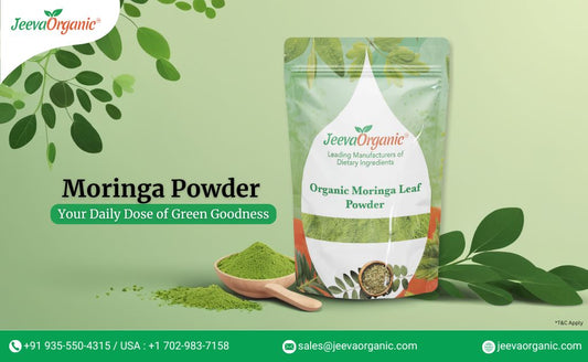 Organic Moringa Leaf Powder' and includes vibrant green leaves, a bowl of moringa powder, and contact details at the bottom.