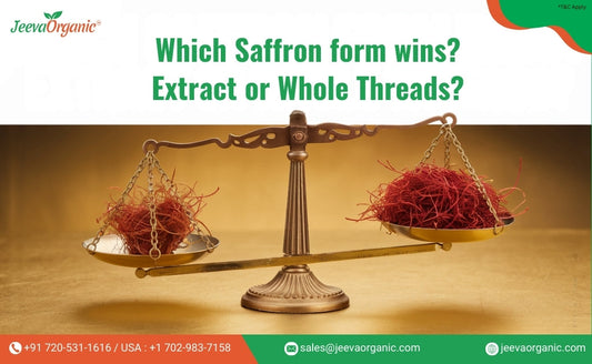 A vintage balance scale compares saffron extract in one bowl with whole saffron threads in another, questioning which is better.