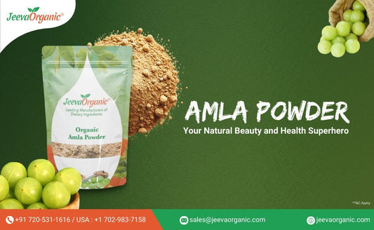 Amla powder packaging by JeevaOrganic, highlighting its benefits for beauty and health, with fresh amla fruit in the foreground.