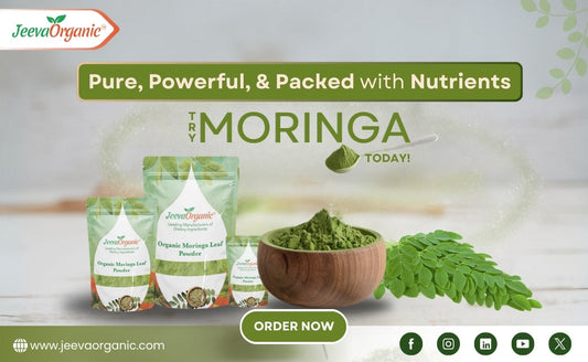 Promotional graphic for JeevaOrganic featuring Moringa leaf powder packages, highlighting its nutrient-rich benefits. Order now!