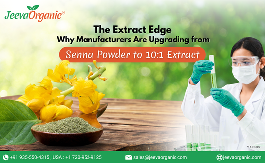 A scientist in a lab examines Senna extract powder 10:1 , surrounded by Senna flowers and test tubes filled with senna extract liquid.