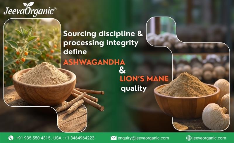 Image showing bowls of Ashwagandha and Lion's Mane powder with the text highlighting sourcing discipline and processing integrity by Jeeva Organic.