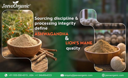 Image showing bowls of Ashwagandha and Lion's Mane powder with the text highlighting sourcing discipline and processing integrity by Jeeva Organic.