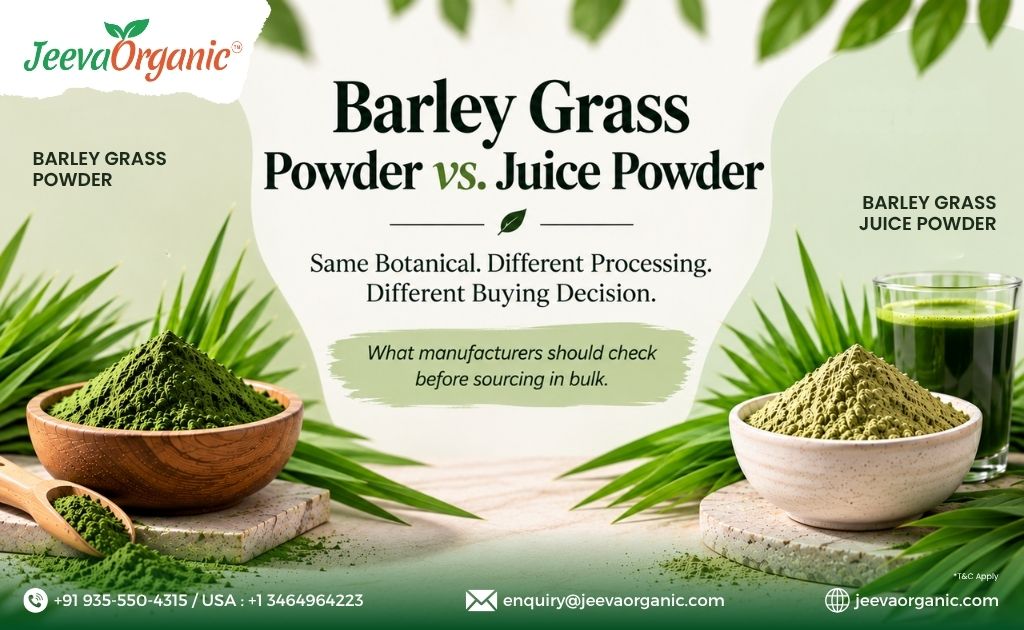 Jeeva Organic graphic comparing barley grass powder and juice powder, with bowls of green powders, juice, and sourcing information.