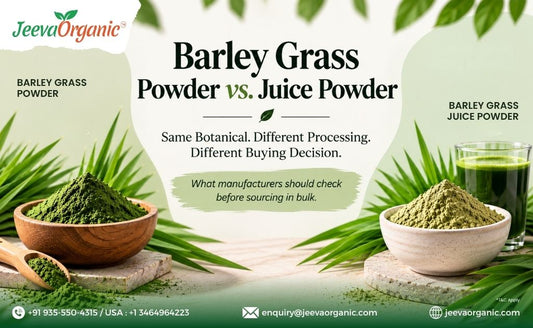 Jeeva Organic graphic comparing barley grass powder and juice powder, with bowls of green powders, juice, and sourcing information.