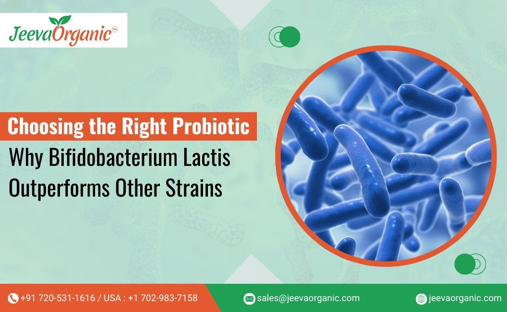 Bifidobacterium Lactis Powder vs. Other Probiotic Strains: A Manufacturer’s Guide