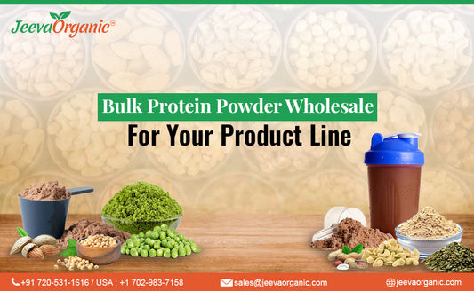 Bulk Protein Powder Wholesale: Enhancing Your Product Line's Nutritional Value