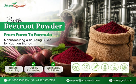 Bulk beetroot powder from Jeeva Organic with natural sourcing, quality processing, and bulk supply, plus allergen, gluten, GMO, toxin, and nut-free labels.