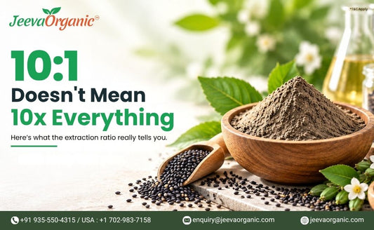 Bulk Black Sesame Seed Extract Powder supplier