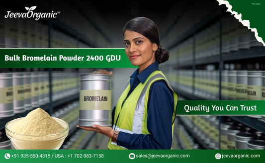 A worker in a green safety vest holds a canister of bromelain powder, with product display shelves in the background.