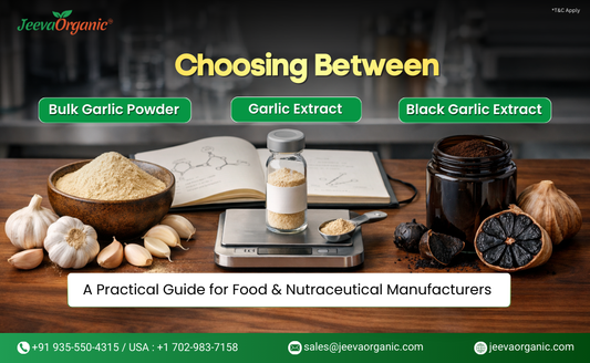Image of garlic products with a focus on Bulk Garlic Powder, Garlic Extract, and Black Garlic Extract, promoting a practical guide for manufacturers.