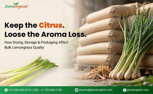 Why Bulk Lemongrass Loses Aroma: Shelf Life, Storage & Quality Factors Buyers Should Know