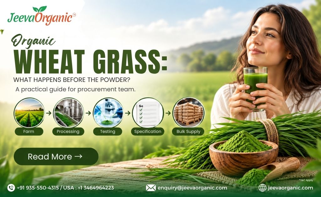 How Organic Wheat Grass Becomes a Bulk Ingredient: From Farm to Powder and Juice Powder