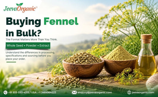 Jeeva Organic banner promoting bulk fennel buying, showing whole seeds, powder, and oil in bowls and a bottle.