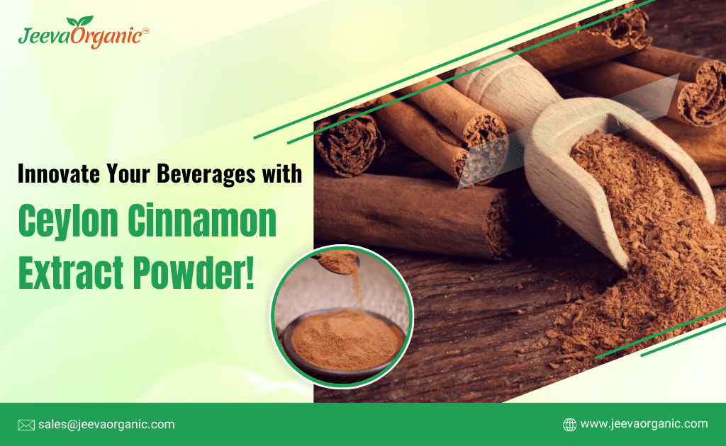 How Ceylon Cinnamon Extract Powder Elevates Coffee, Tea, and Functional Drinks