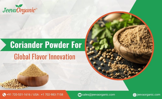 Coriander Powder: A Versatile Ingredient for Diverse Culinary Applications