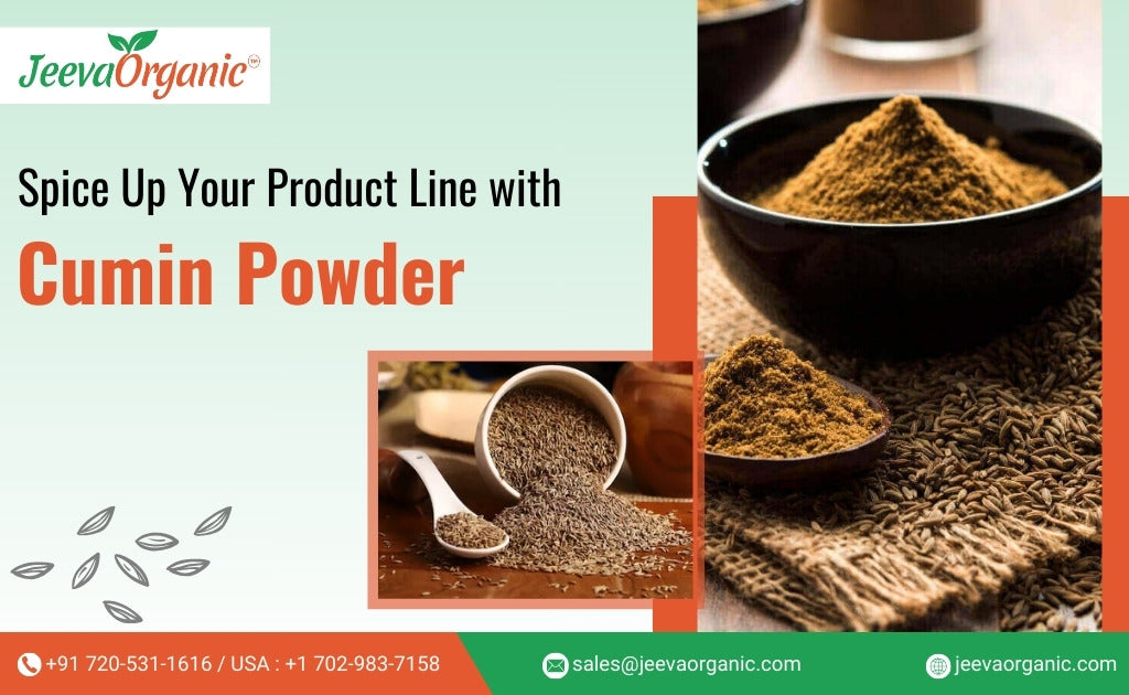 Cumin Powder in the Food Industry: Key Applications